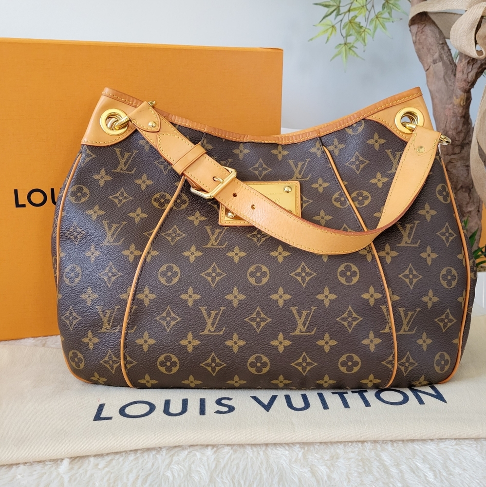 Louis Vuitton Monogram Canvas Hobo with Vachetta Leather Strap
